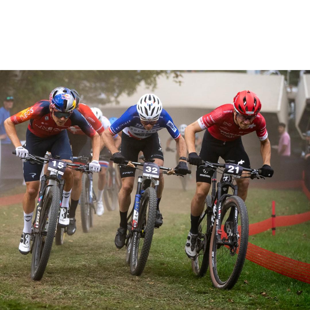 UCI Mountain Bike World Series